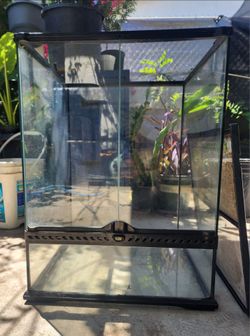 Exo Terra Terrarium 18x18x24