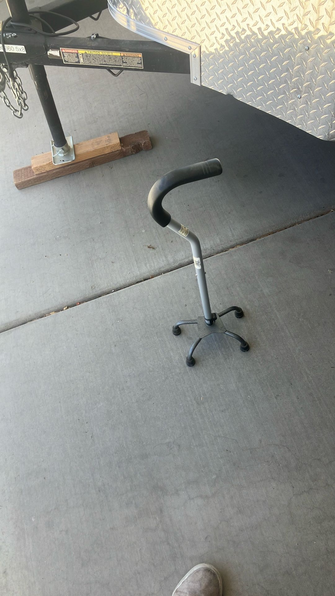 Balence Cane