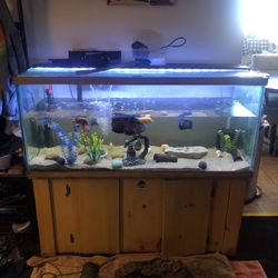 75 Gallon Fish Tank 