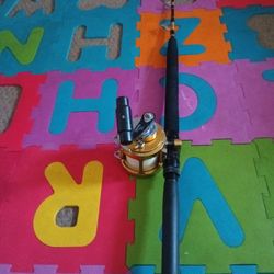 Penn50 2speed With Pole