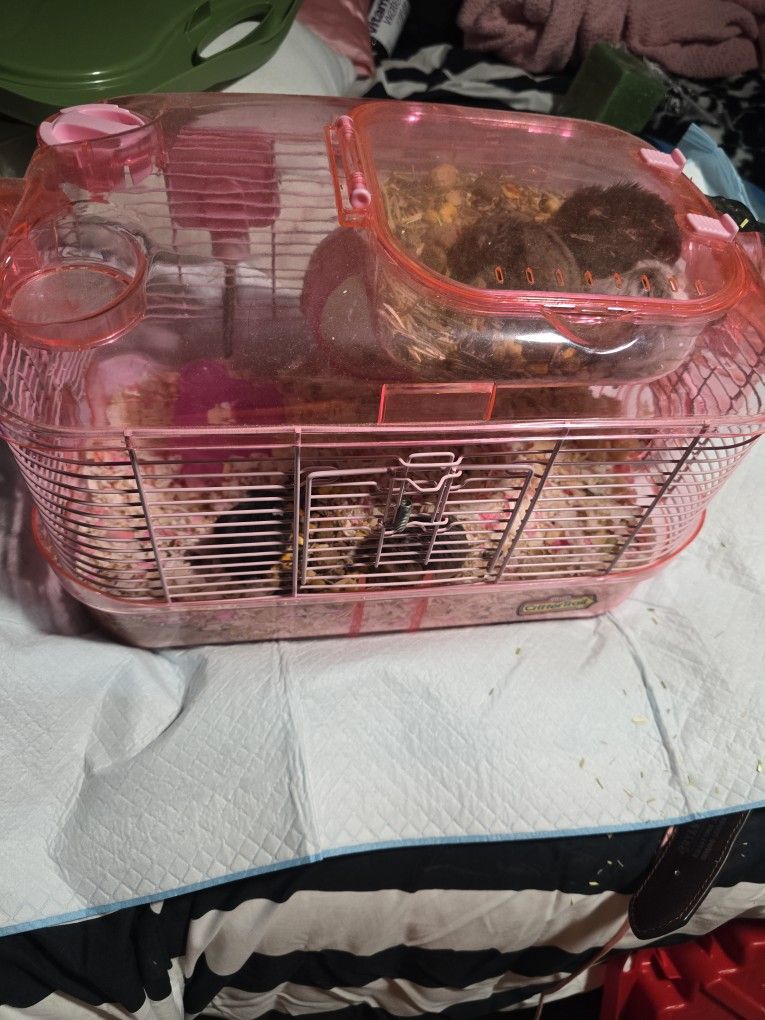 Dwarf And Syrian Hamster Cages