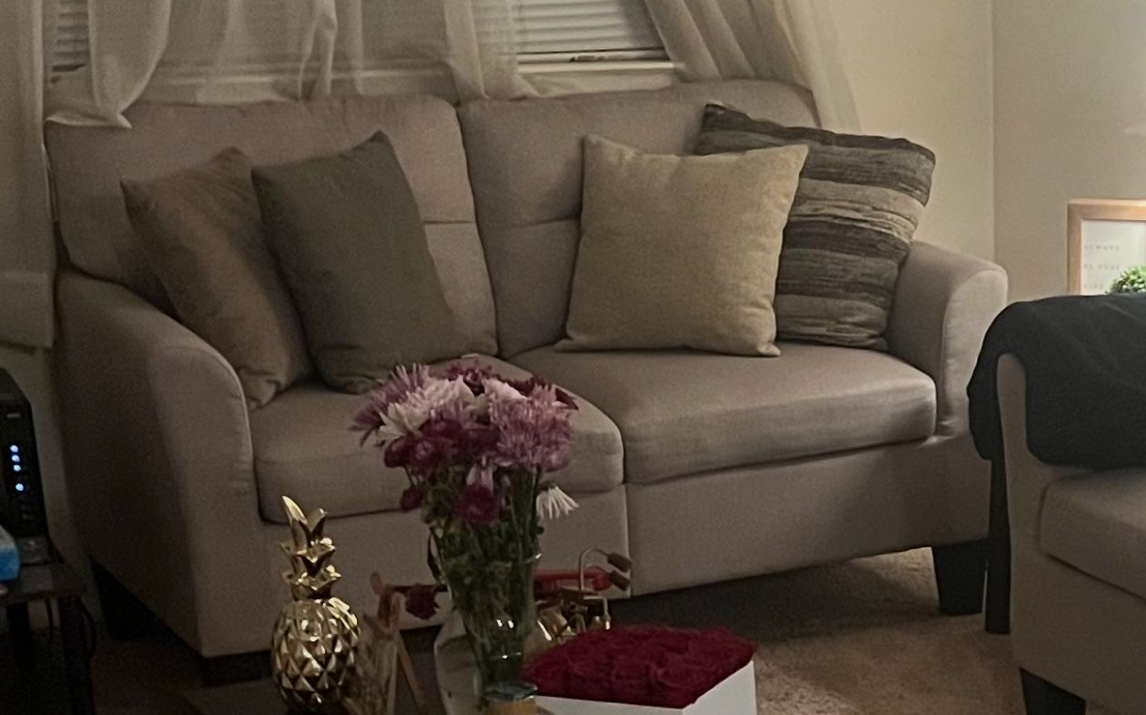 Love Seat And Couch