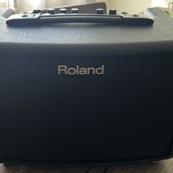 Roland AC-33 Acoustic Chorus Amp