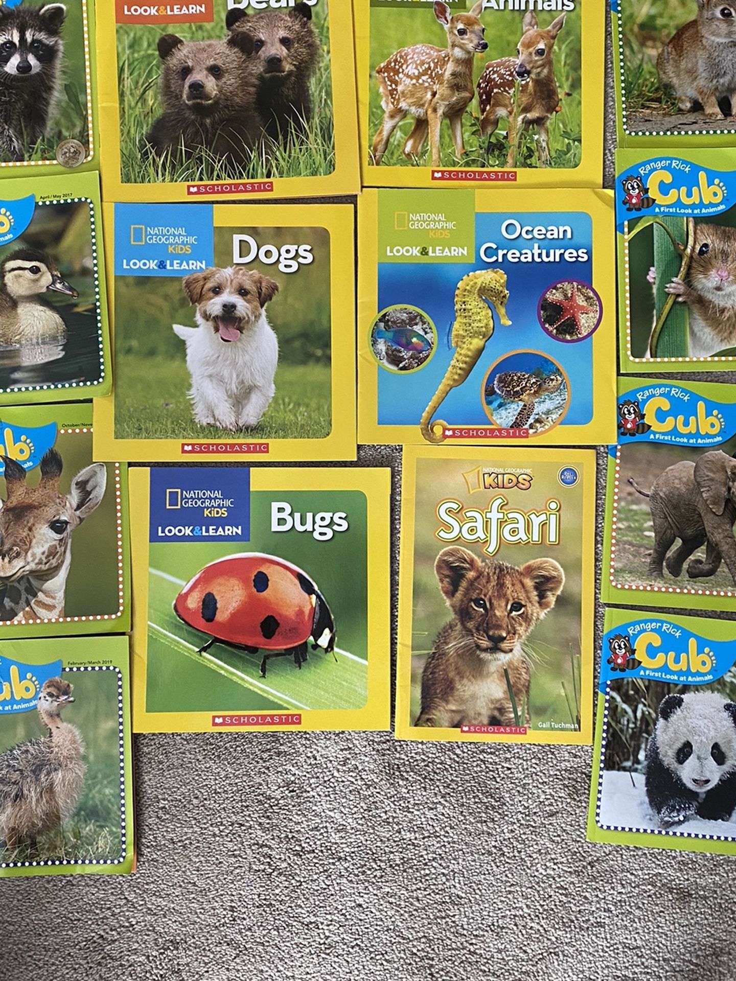 Kids Book Lot - National Geographic & Ranger Rick