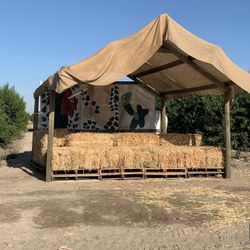 ORGANIC, LOCAL & Fresh fruit.