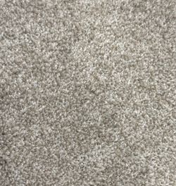 Blowout carpet special