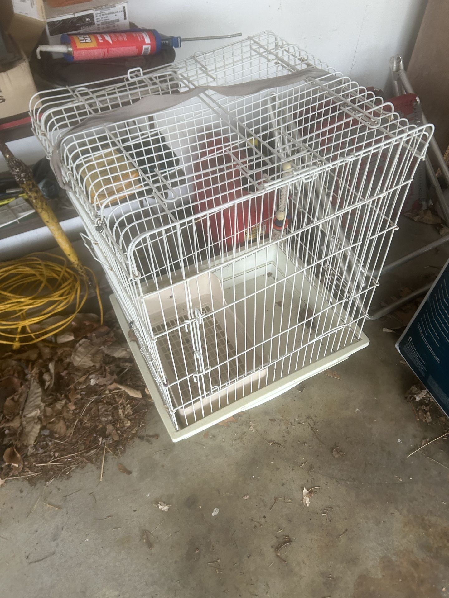 Bird Cage