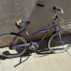 Beach Cruiser Needs Some TLC 