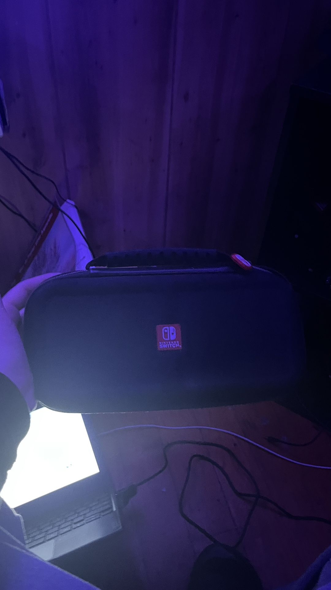 Nintendo Switch Case