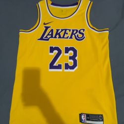 LeBron James Nike Jersey
