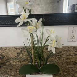 Fake Plant 