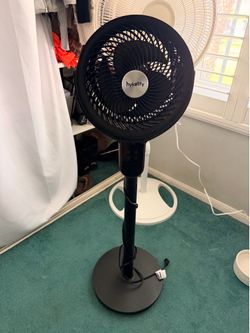 Fan