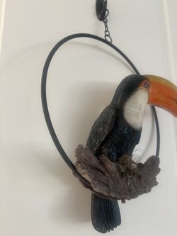 Awesome Hanging Toucan