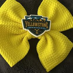 Yellowstone Hair Bow