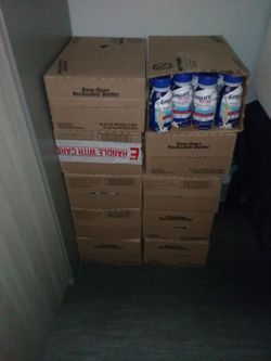 Ensure Plus 24 packs