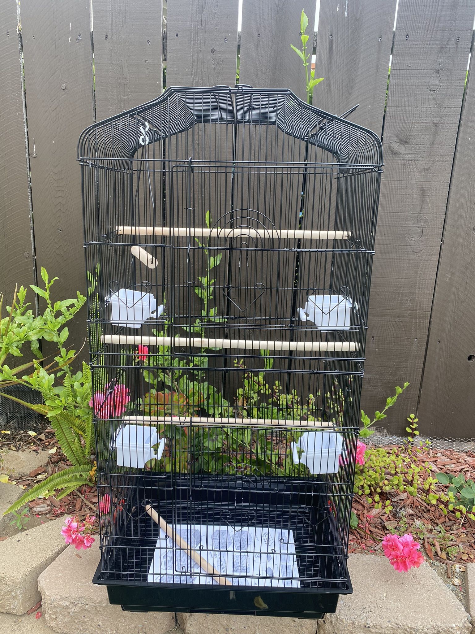 Birds Cage