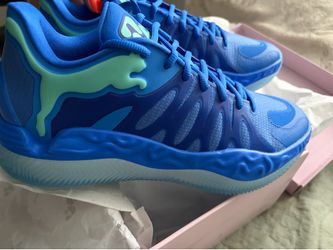 Two Blue Aqua Puma