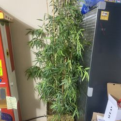 Large Fake Bamboo Plant W/ Pot