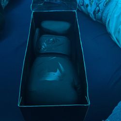 Venum 12oz boxing gloves 