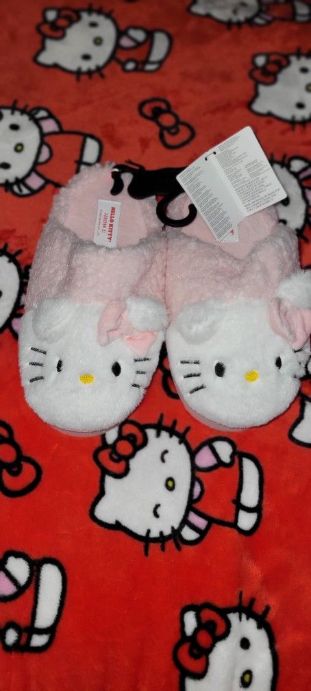Shoe Slippers Hk Size Small 4-6 Adults