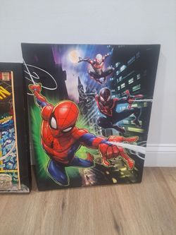 Spider man canvas