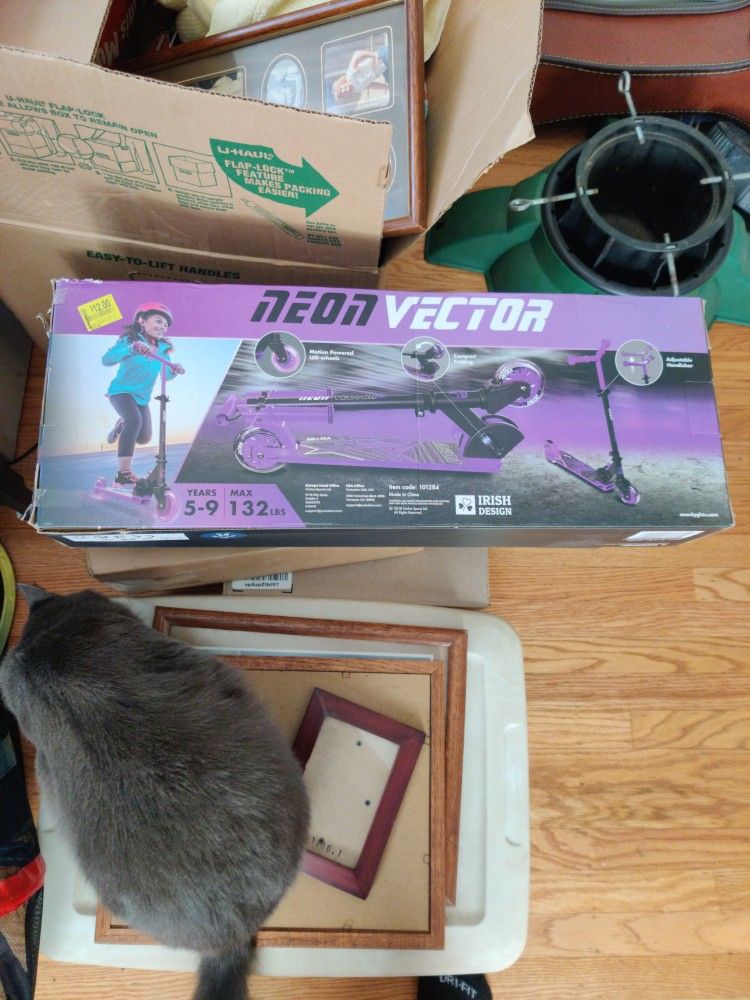 Neon Vector Kids Scooters 