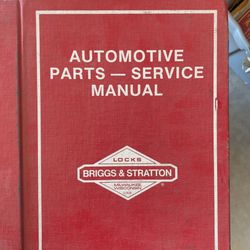 Early Years Briggs & Stratton