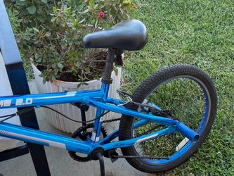 Dynacraft Krome Boys 20”