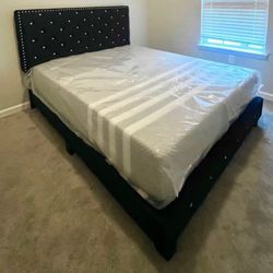 Button tufted luxurious frames | twin full king queen available