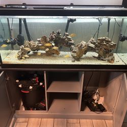 75 Gallon Tank With Stand And Fluval Equipment FX6 Canistar Filter Battery Backups 
