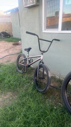 Elite bmx