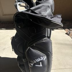 Golf Bag And Gold Clubs 