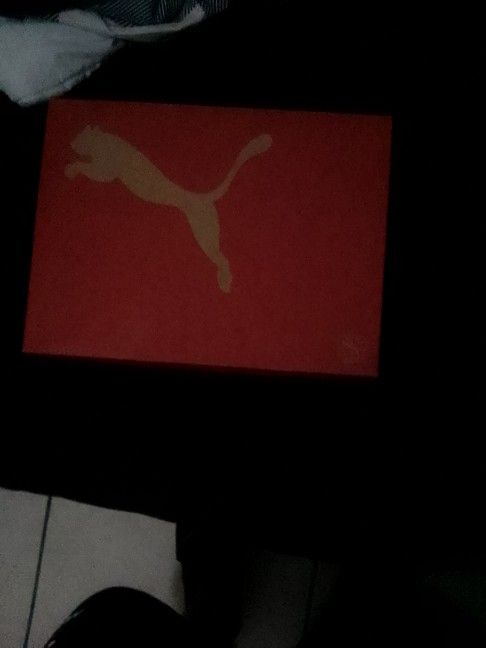 Size 7 Puma Shoes Brand New