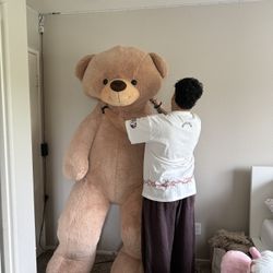 7 FT Teddy Bear 