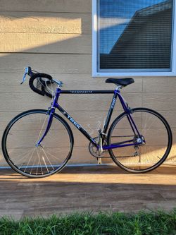 TREK VINTAGE 2300 CARBON FIBER ROAD BIKE | ULTEGRA COMPONENTS