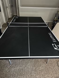 Ping pong table