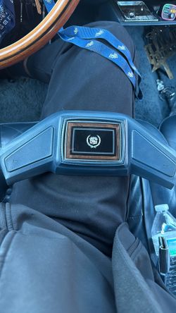 80’s Cadillac Fleetwood Brougham Horn Pad