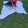 Roxi