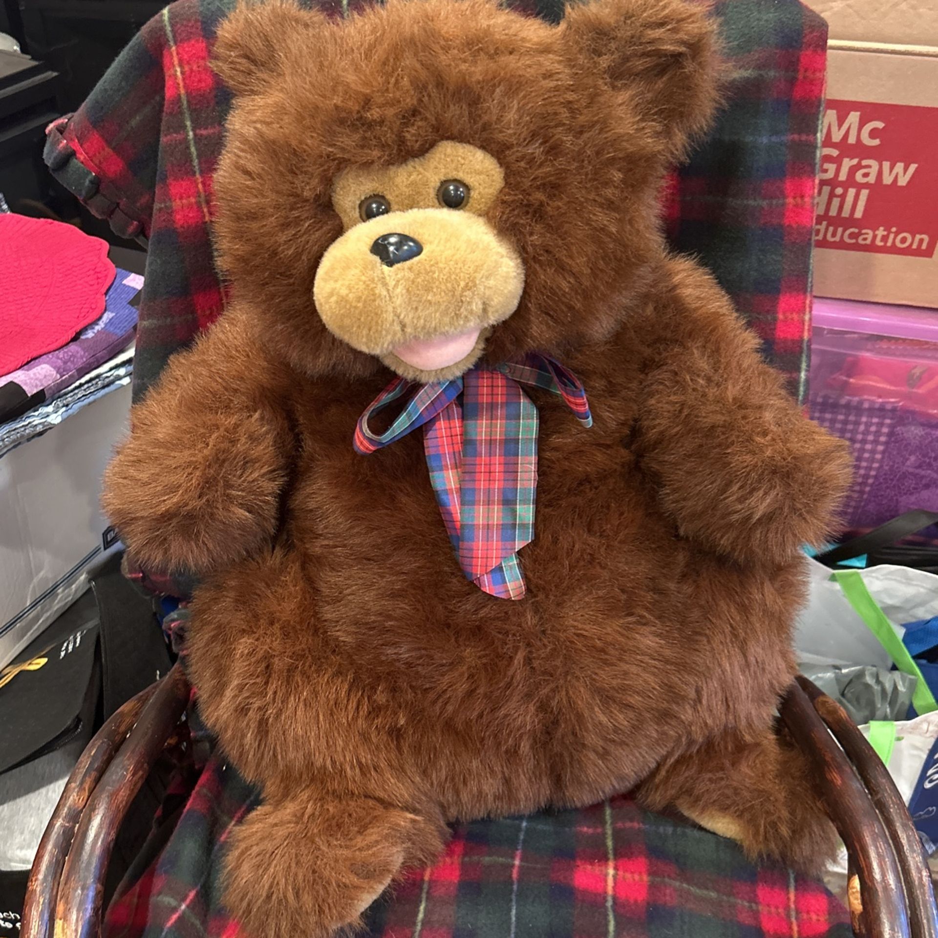 Big Plush Teddy Bear