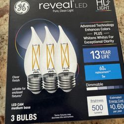 LED LIGHT BULB (CANDALEBRA) 