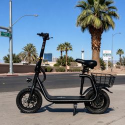 Electric Scooter 500w