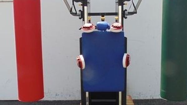 MMA Training Machine, Striking Board, 2 pulleys , grappling dummy, kick targets , speed bag