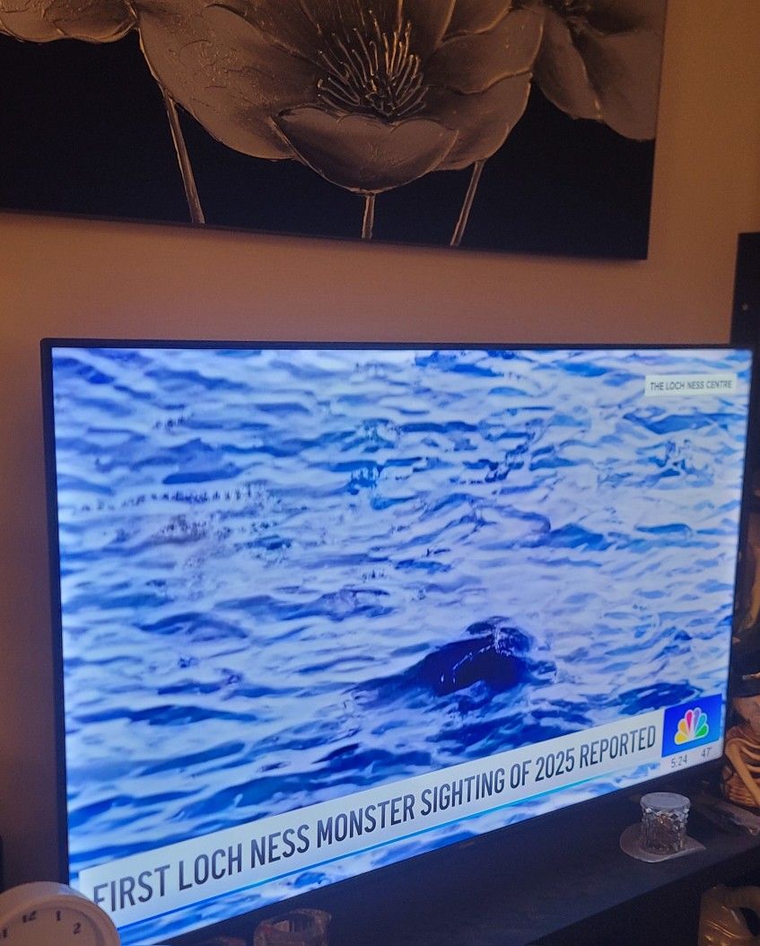 Hisense 50 Inch TV