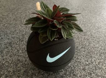 Maceta de baloncesto Nike