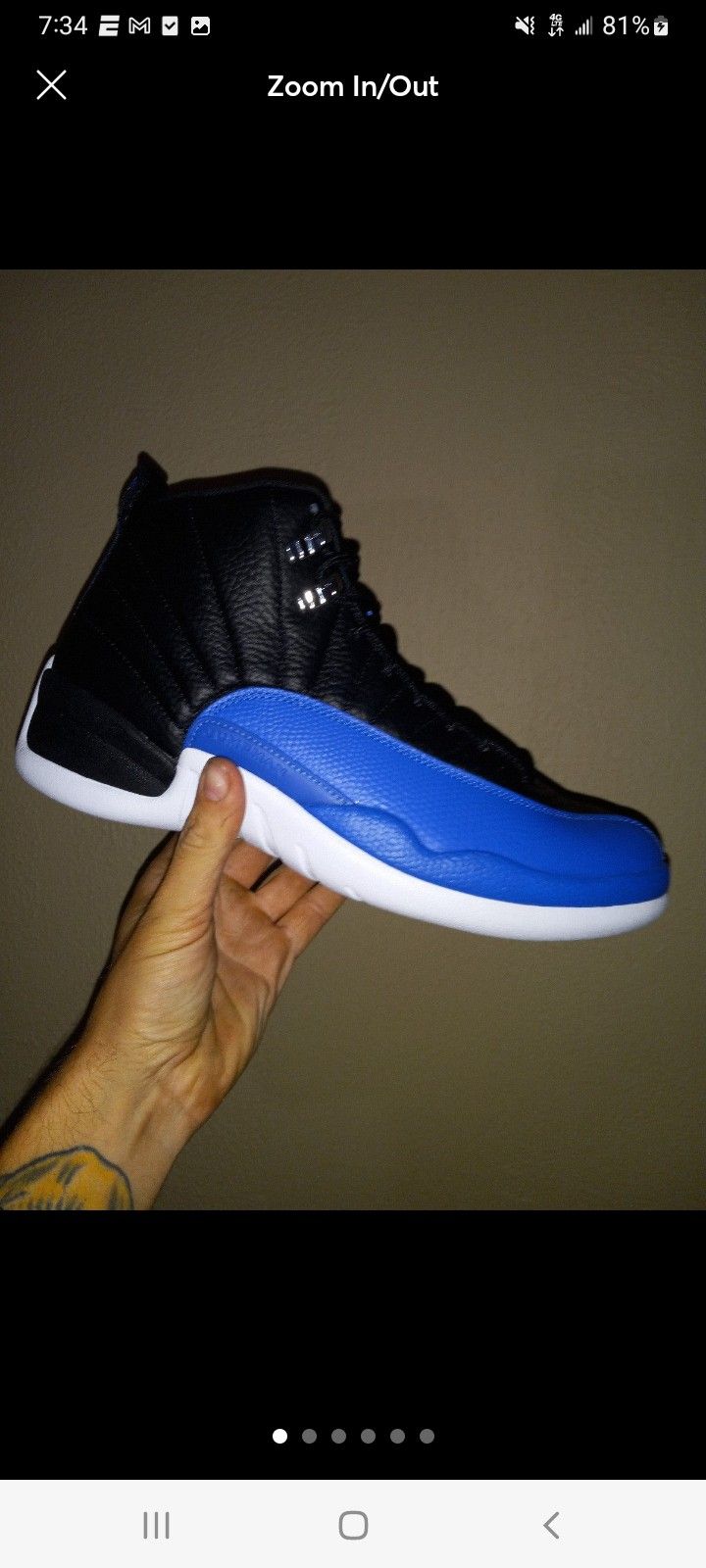 Air Jordan 12