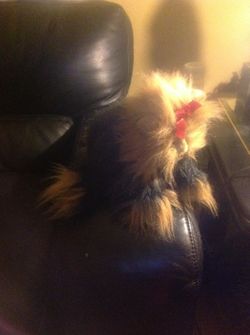 Ty stuffed puppy tappy