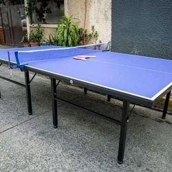 Table tennis board 
