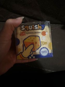 Squishy Moldable Cheese Toy