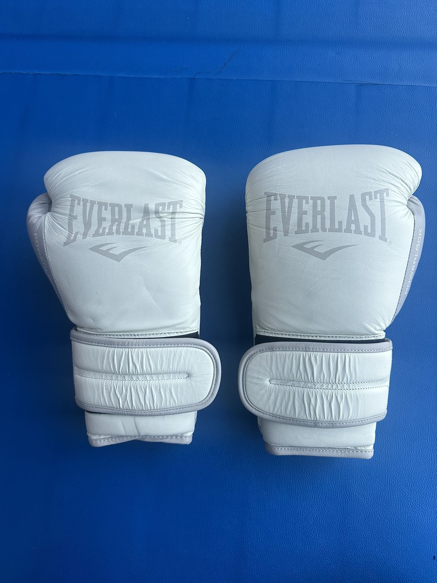 Everlast Boxing Gloves 