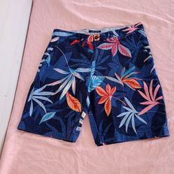 Tommy Hilfiger shorts men's size 34